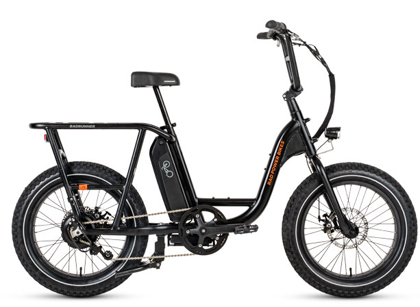 eBike-Rental-Gulf-State-Park-RadRunner-2-Electric-Utility-Bike-pic